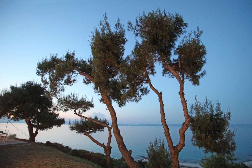 Апартаменты Sea View Apollo & In